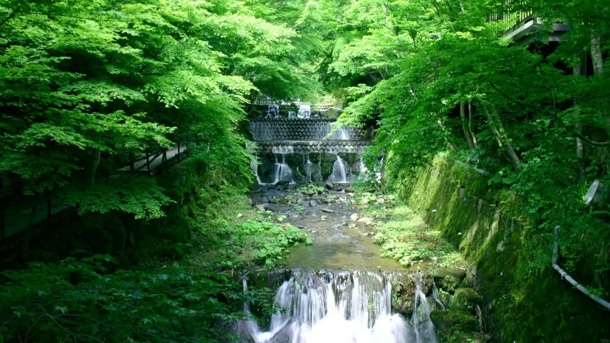 奥湯河原の豊かな緑と清らかな川の流れ